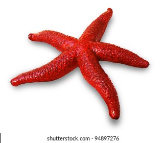 Red Sea Star Isolated On White