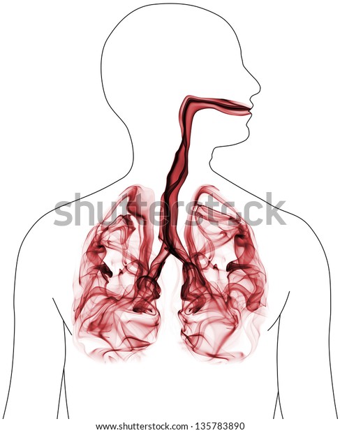 Red Smoke Formation Shaped Human Lungs Stock Illustration 135783890