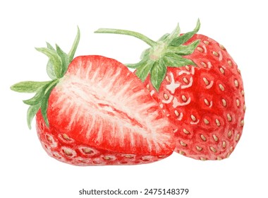 Red strawberry half, slice hand drawn watercolor illustration. Delicious food art, fresh botanical realistic painting. Summer berry clipart for cafe menu, packaging of farm goods, vegan products - Powered by Shutterstock