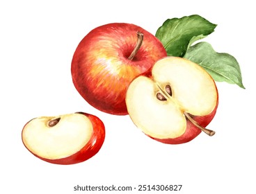 Red sweet Apple fruits with green leaves. Hand drawn watercolor illustration, isolated on white background - Powered by Shutterstock