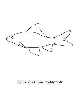 Red Tail Shark fish icon line. Singe aquarium fish icon from the sea,ocean life set.