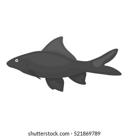 Red Tail Shark fish icon monochrome. Singe aquarium fish icon from the sea,ocean life monochrome.