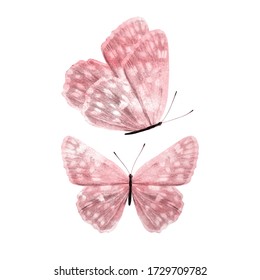 red watercolor butterflies isolated on a white background.