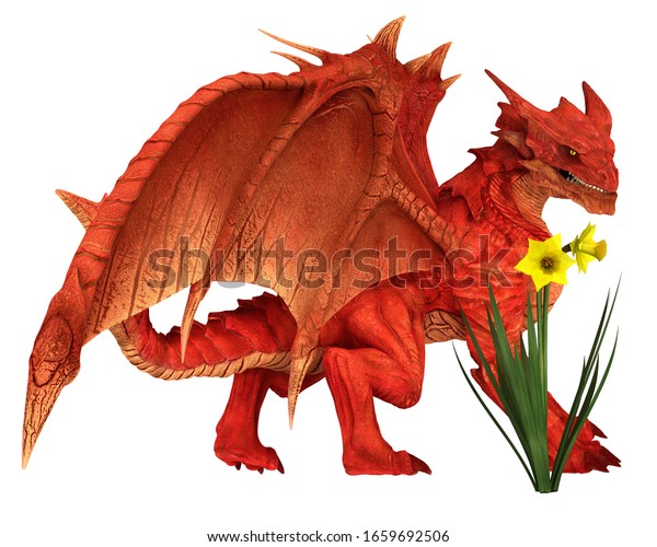 Red Welsh Dragon Daffodils St Davids Stock Illustration 1659692506 ...