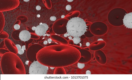 Red and white blood cell in a vein, artery, or capillary 3d render