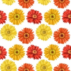 Red And Yellow Asters And Gerber Flowers Seamless Pattern, Isolated Flowers On White Background