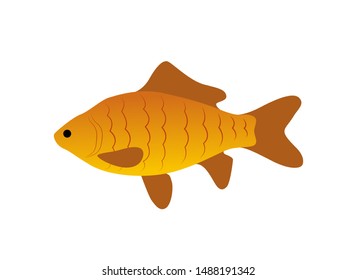 Red Zebra Fish Icon Closeup. Animal Living In Water Ocean Sea Or Lake Dweller. Aquatic Organism With Fins And Gills Aqua Fauna Isolated On Raster