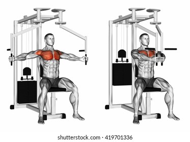 1000 Chest Workout Stock Images Photos Vectors