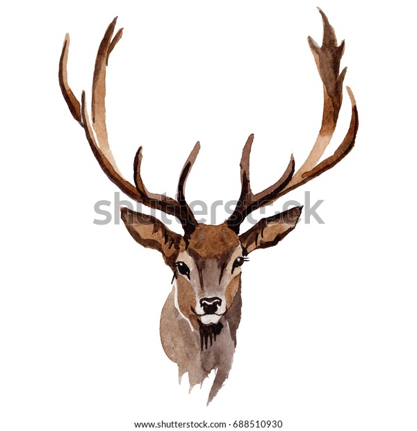 Reindeer Wild Animal Watercolor Style Isolated Stock Illustration ...