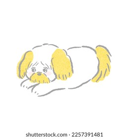 Relaxing relaxing Shih Tzu dog Cute   simple line drawing hand  drawn illustration