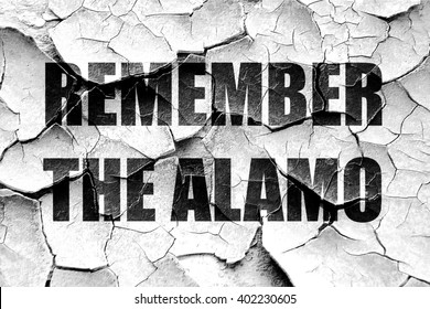 Remember The Alamo