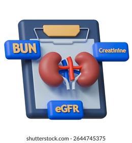 Renal function test 3d icon isolated on white background. Kidney on laboratory result report and indicators like BUN, creatinine and eGFR.