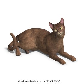 rendering of a cat with Clipping Path and shadow over white