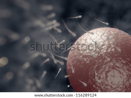 Rendering of sperm