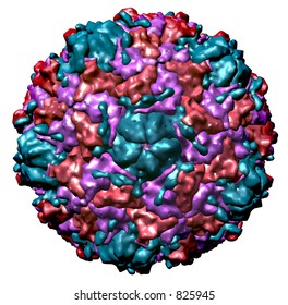 Rendering Of The Three Dimensional Structure Of Rhinovirus The Common Cold Virus