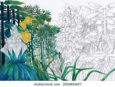 The Repast Of The Lion (1907) By Henri Julien Rousseau : Adult Coloring Page