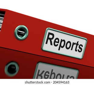 Reports File Meaning Data Records And Files