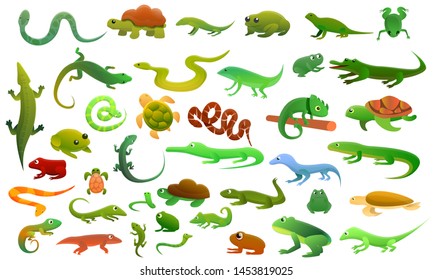 Reptiles amphibians icons set. Cartoon set of reptiles amphibians icons for web design