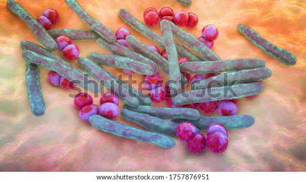 Respiratory pathogens, bacteria\
Mycobacterium tuberculosis and Streptococcus pneumoniae, 3D\
illustration. The causative agents of tuberculosis and\
pneumonia