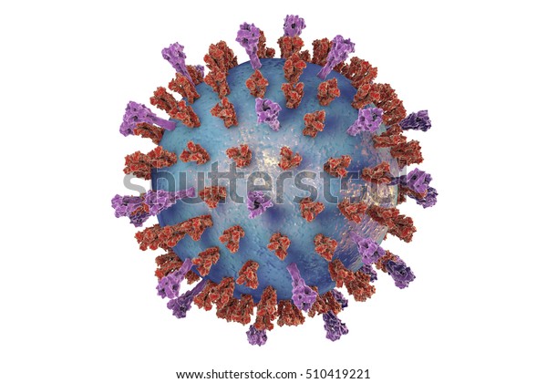 Respiratory\
syncytial virus (RSV), 3D illustration which shows two types of\
viral surface spikes. RSV causes common\
cold