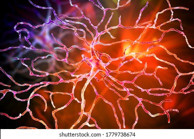 Retinal neuron, a neuron that plays crucial role in vision, it transforms the optical image in order to extract visual information, 3D illustration