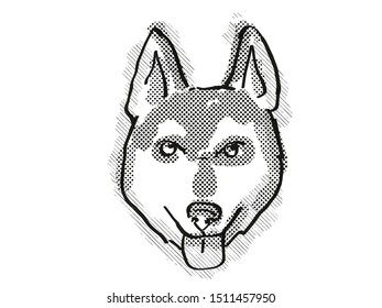 Retro Cartoon Style Drawing Of Head Of An Alaskan Klee Kai  , A Domestic Dog Or Canine Breed On Isolated White Background Done In Black And White.