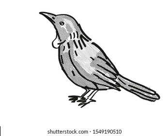 tui bird clipart template