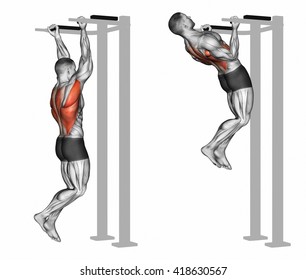 Reverse Grip Pullups On Back Muscles Stock Illustration 418630567