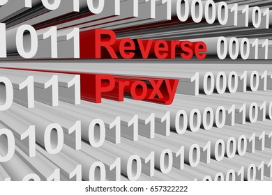 Reverse proxy in the form of binary code, 3D illustration