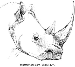 Sketched Animals Kaldebwongco