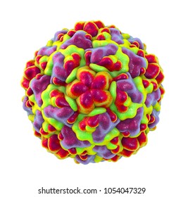 Rhinovirus Isolated On White Background, The Virus That Causes Common Cold And Rhinitis, 3D Illustration