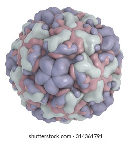 Rhinovirus Serotype 16 Isolated On White Background. A Virus Causes Common Cold And Rhinitis. A Model Is Built Using Data Of Viral Macromolecular Structure From Protein Data Bank (PDB 1ND2)