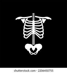 Rib Cage. Ribs Spine And Hip Bone. Skeleton Anatomy Human. Skeletal System Cross Section 
