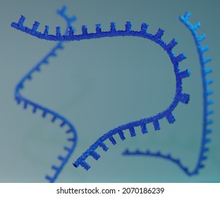Ribonucleic Acid Or RNA As A Single Strand 3d Rendering