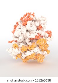 A Ribosome Is An Intracellular Ribonucleoprotein Organelle Or Particle That Is The Site Of Protein Biosynthesis As It Is Able To Translate The Codons On Messenger-RNA