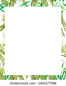 Rice Frame Watercolor Digital Paint Illustrator Stock Illustration ...