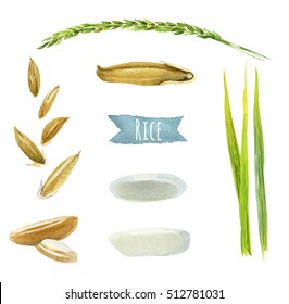 Rice Hand-painted Watercolor Illustration Set