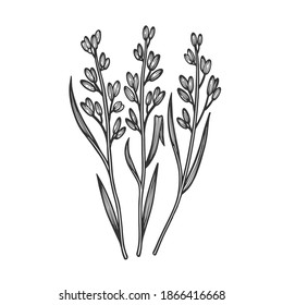 Hand Drawn Flowers Isolated On White Stock Vector (Royalty Free) 1309331560