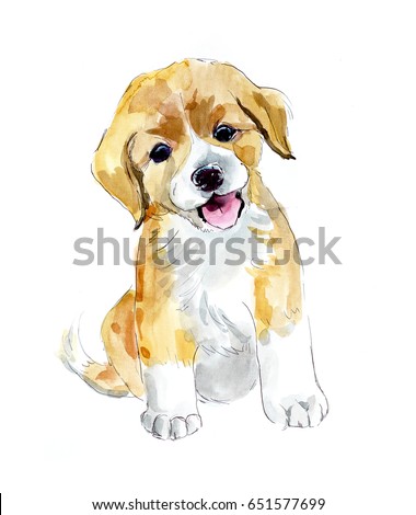Ridiculous puppy. Watercolor hand drawn illustration