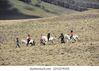 Riding White Horse In Savanna Bromo Mountain