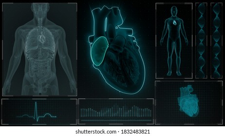 Right Atrium Of Human Heart 3d Illustration