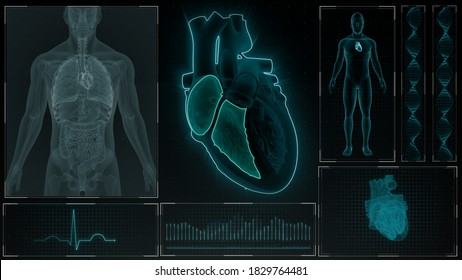 Right Atrium And Ventricle Of Human Heart 3d Illustration 