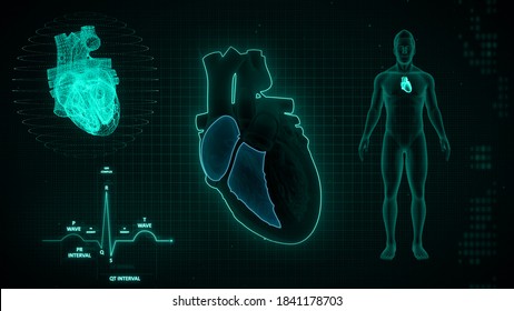 Right Atrium And Right Ventricle Of Human Heart 3d Illustration