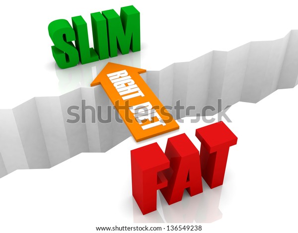 Right diet is the bridge from FAT to SLIM.\
Concept 3D\
illustration.
