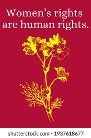 Women’s rights are human rights