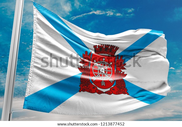 Rio De Janeiro City Flag Waving Stock Illustration