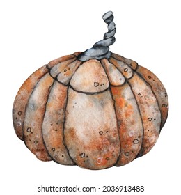 Ripe orange pumpkin close-up isolated on white background. Hand drawn watercolor illustration. Product design on the theme of golden autumn and happy Halloween, food and menu - Powered by Shutterstock