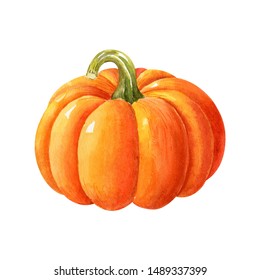 Ripe Orange Pumpkin Isolated On White Background. Watercolor Handdrawn Illustration. Hand Made Clipart.