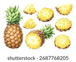Ripe pineapple fruit set, full and cut, slices and peaces. Hand drawn watercolor illustration, isolated on white background