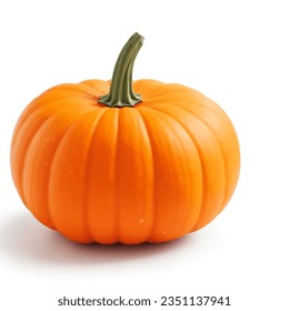 Ripe sweet pumpkins for eating - Powered by Shutterstock